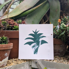 Load image into Gallery viewer, Minimalist Agave - Fine Art Print