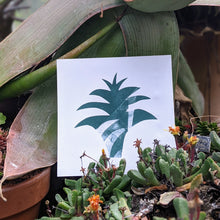 Load image into Gallery viewer, Minimalist Agave - Fine Art Print