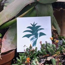 Load image into Gallery viewer, Minimalist Agave - Fine Art Print
