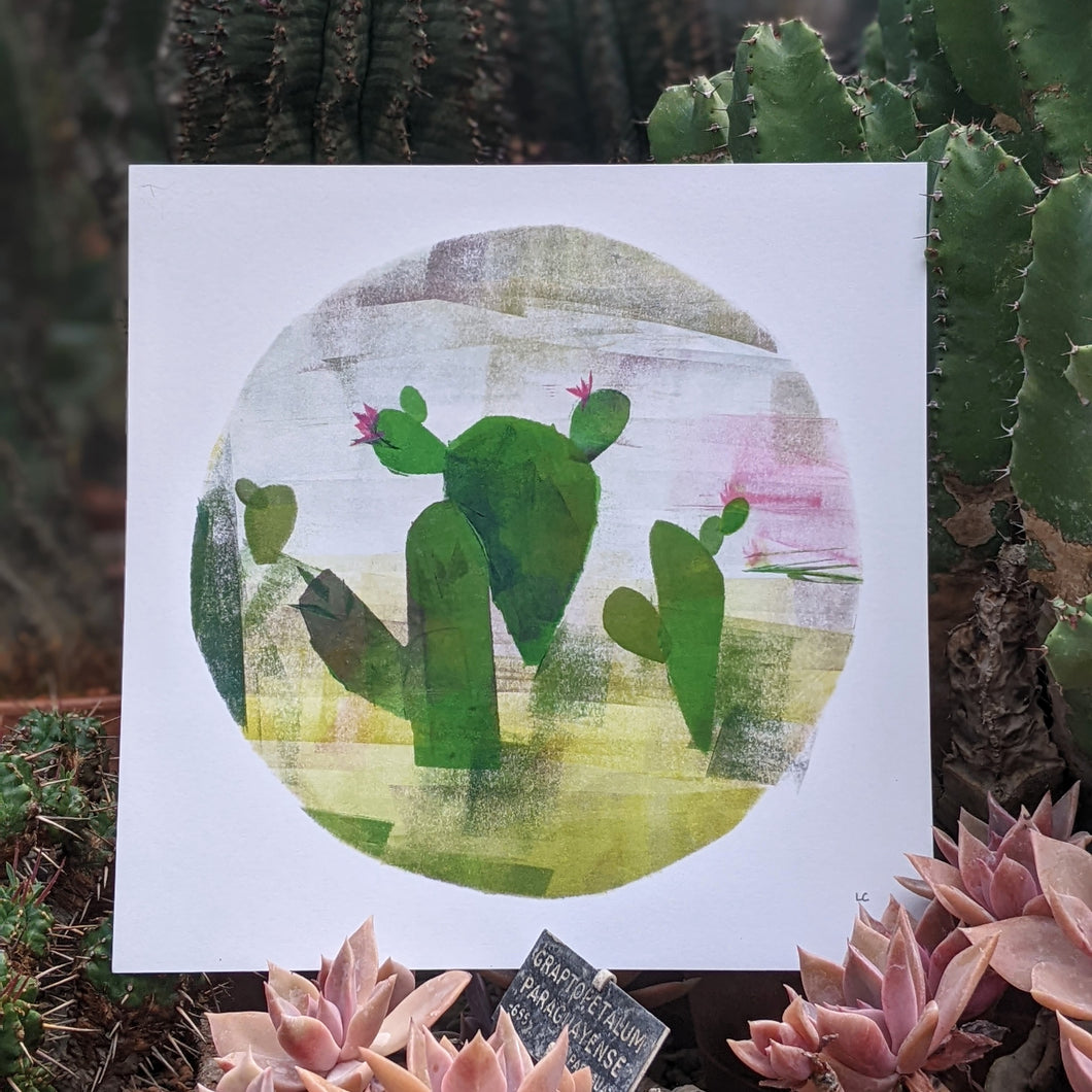 Desert Cactus - Fine Art Print